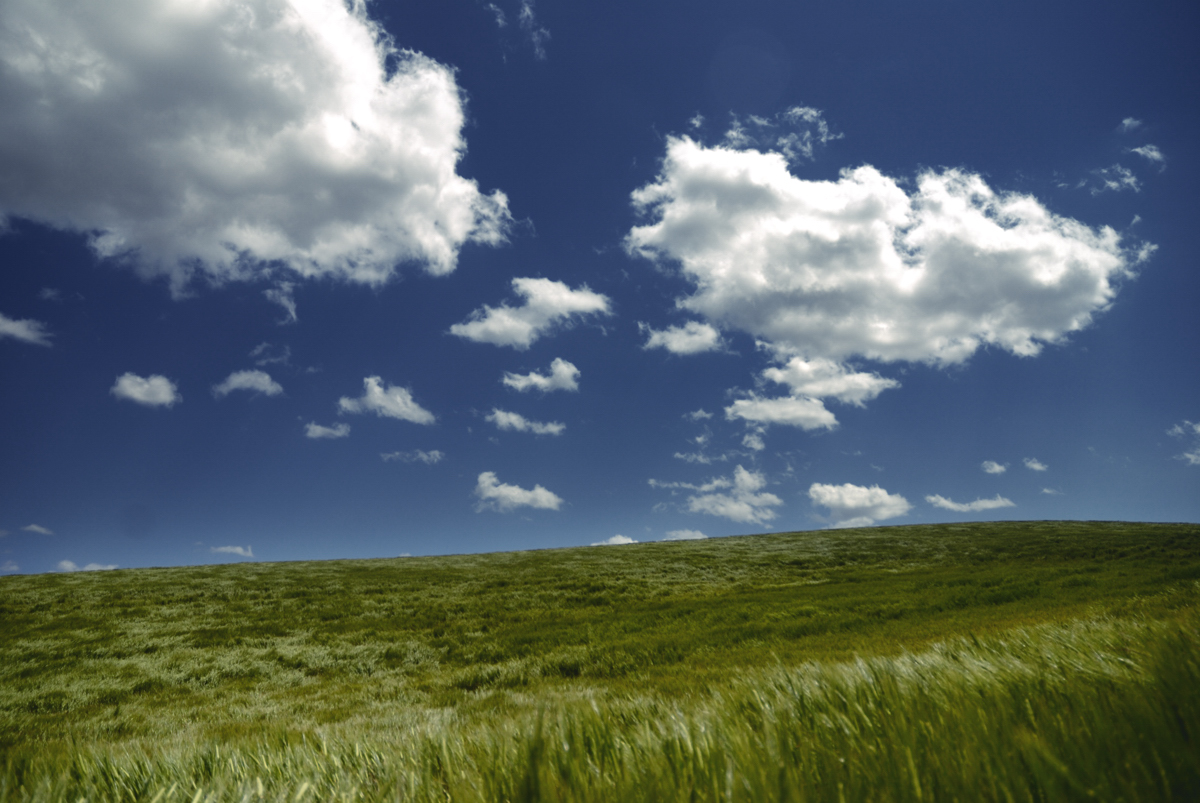 空と草原